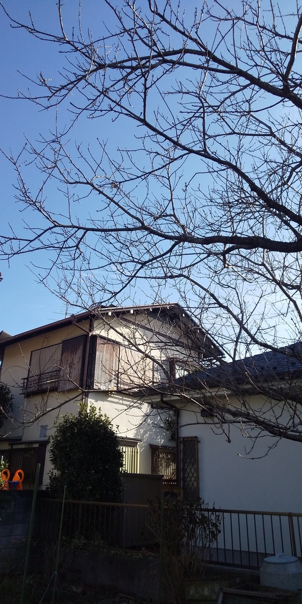 f:id:donkoro:20200117121816j:plain f:id:donkoro:20200117121816j:plain