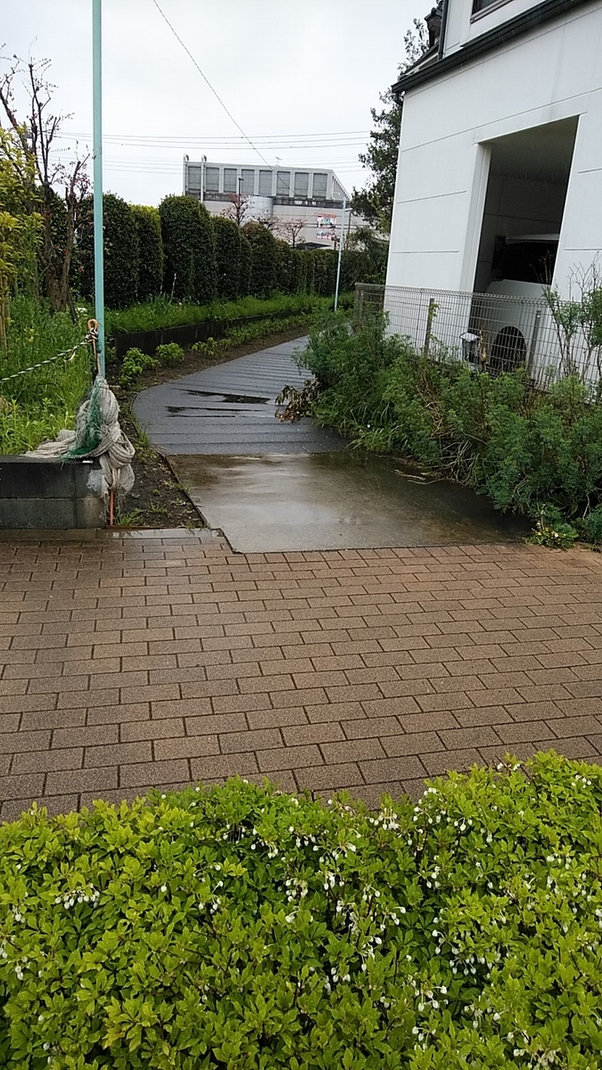 f:id:donkoro:20200420105130j:plain