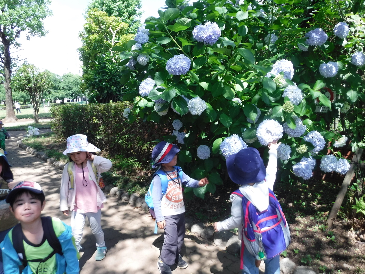 f:id:donkoro:20200617093442j:plain
