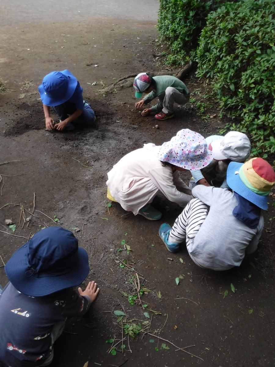 f:id:donkoro:20200618103129j:plain