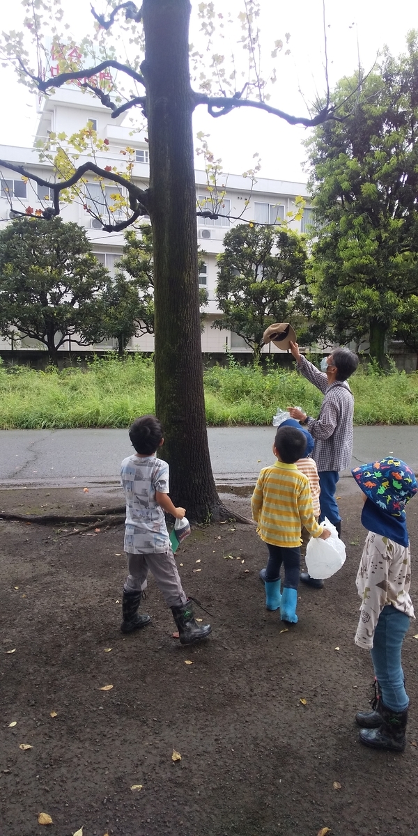 f:id:donkoro:20200907093529j:plain