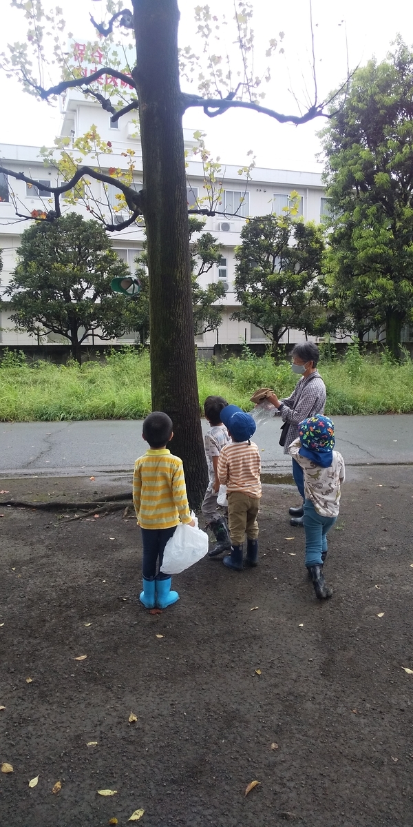f:id:donkoro:20200907093535j:plain