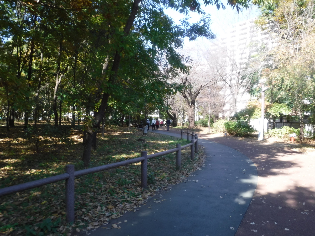 f:id:donkoro:20201109105032j:plain