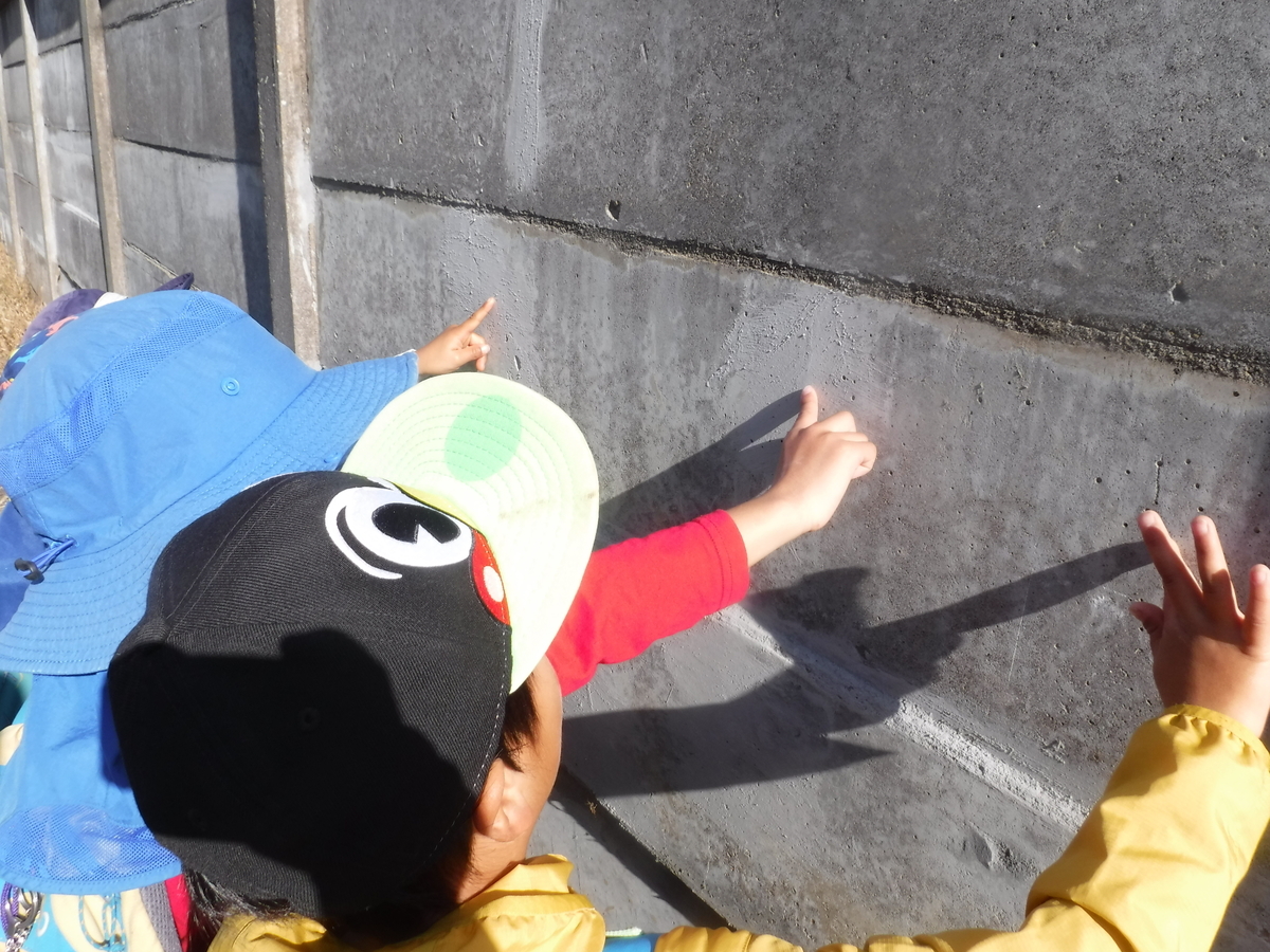 f:id:donkoro:20201126100532j:plain