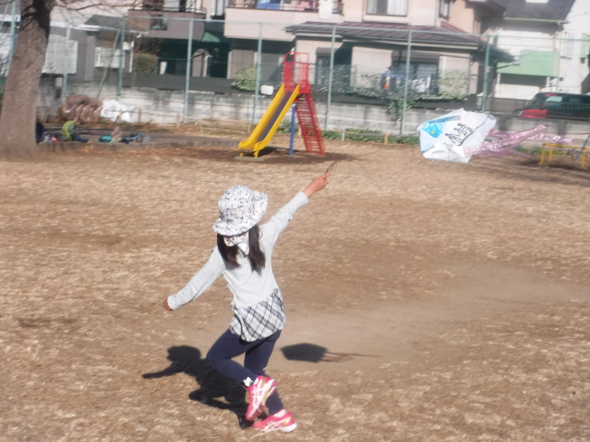 f:id:donkoro:20210114100702j:plain