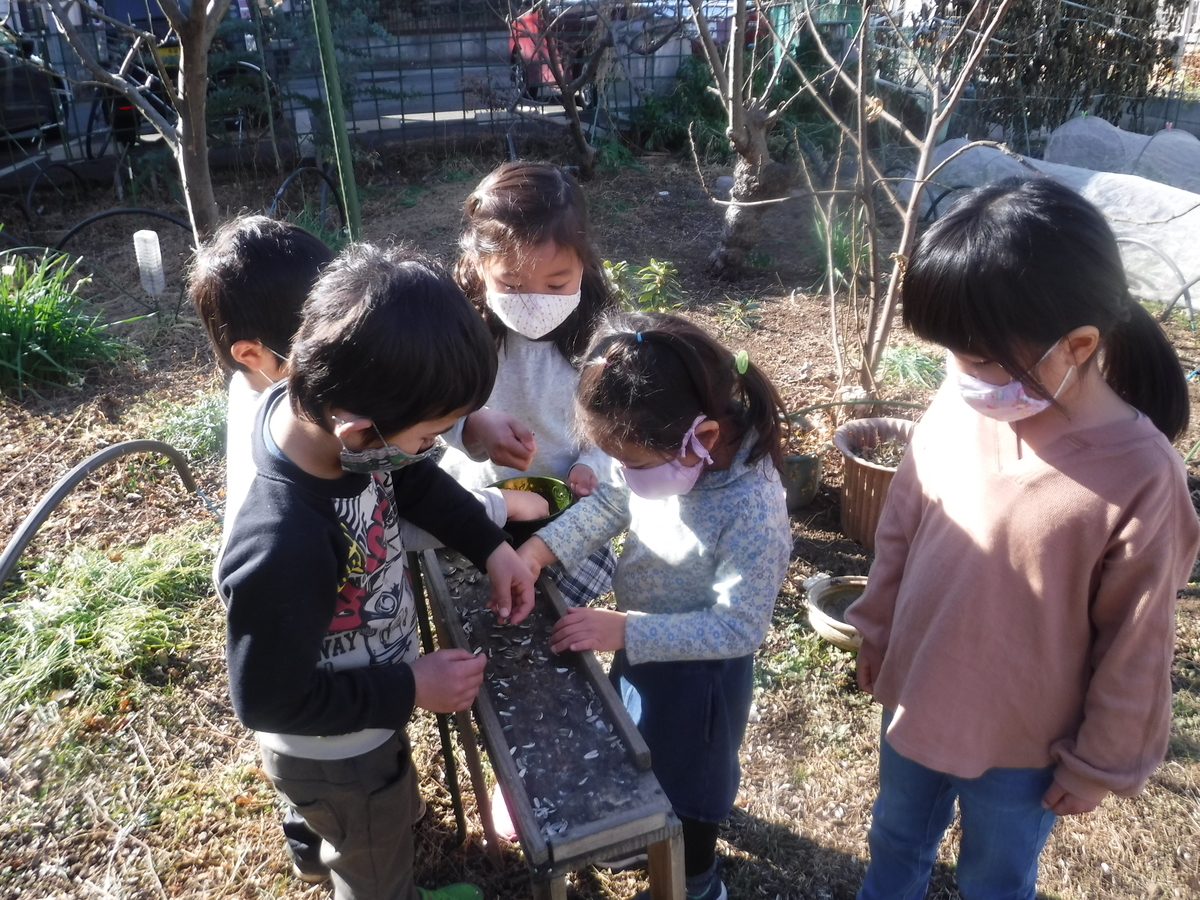 f:id:donkoro:20210114132707j:plain