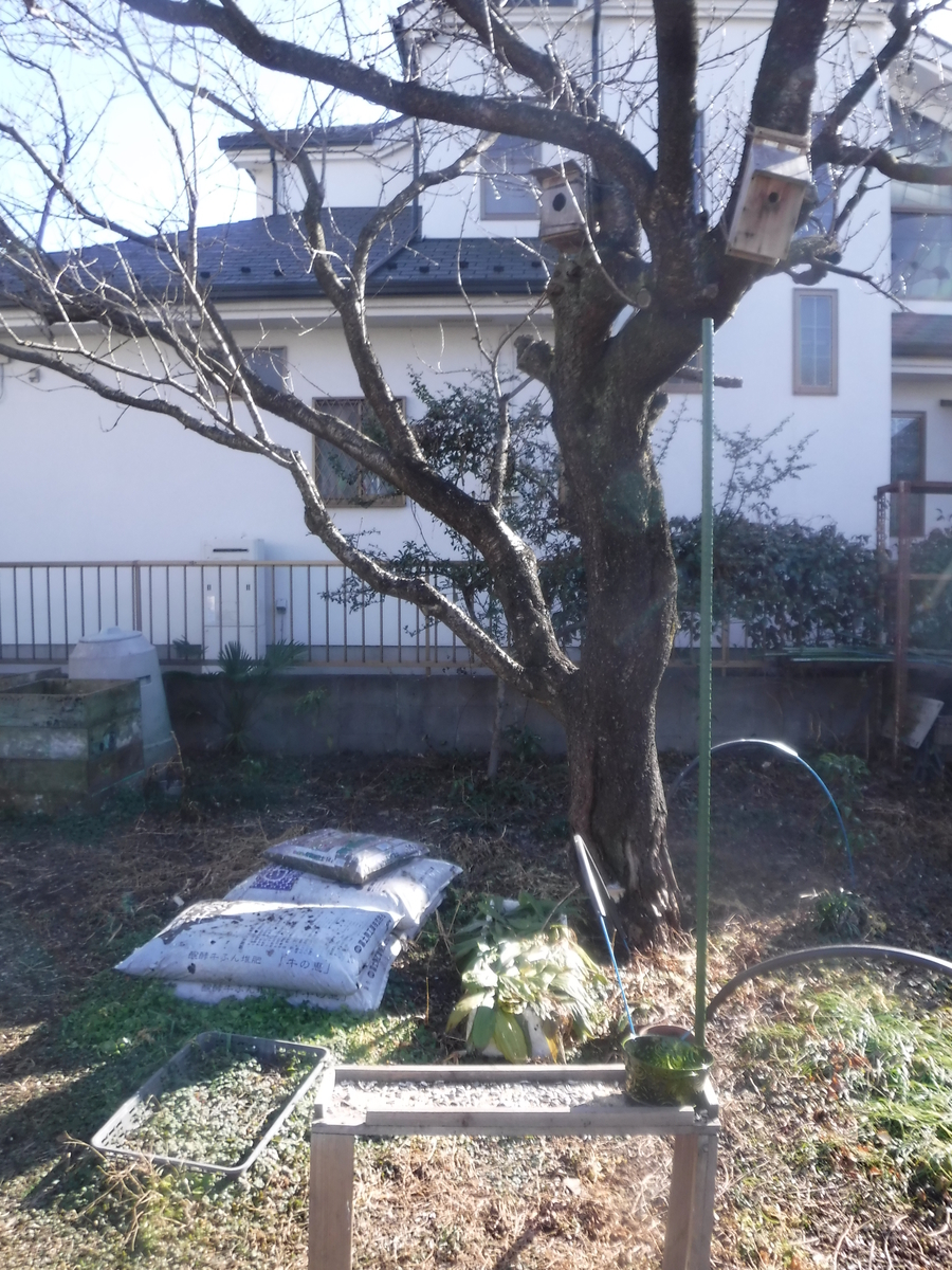 f:id:donkoro:20210114132851j:plain