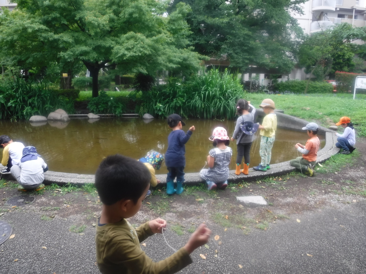 f:id:donkoro:20210629103531j:plain