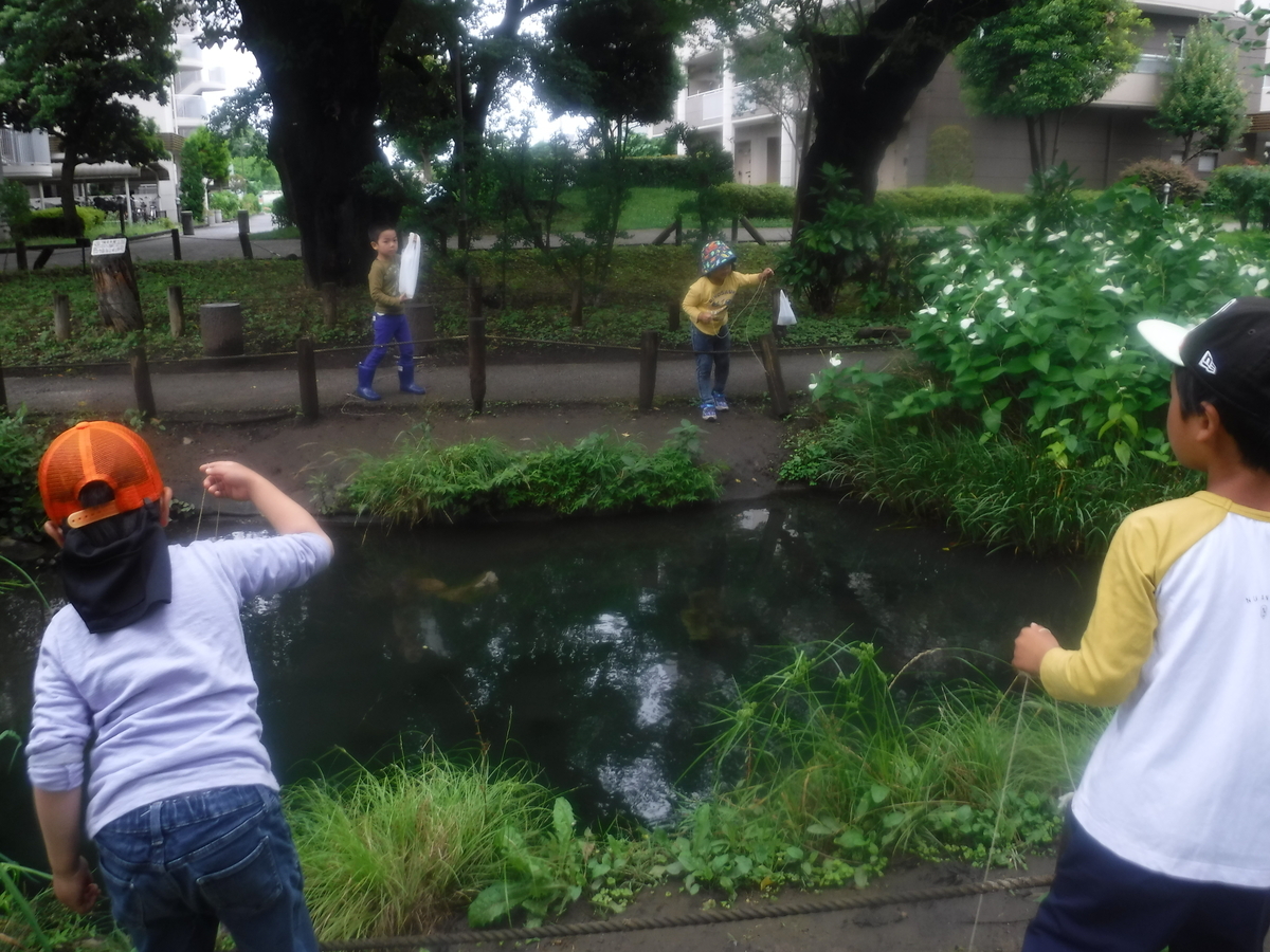 f:id:donkoro:20210629110526j:plain