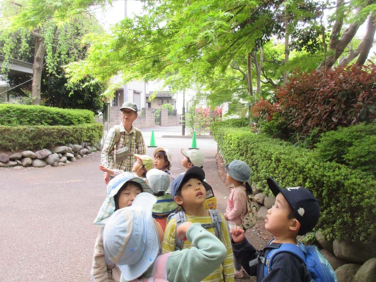 モミジの葉っぱにきれいだね