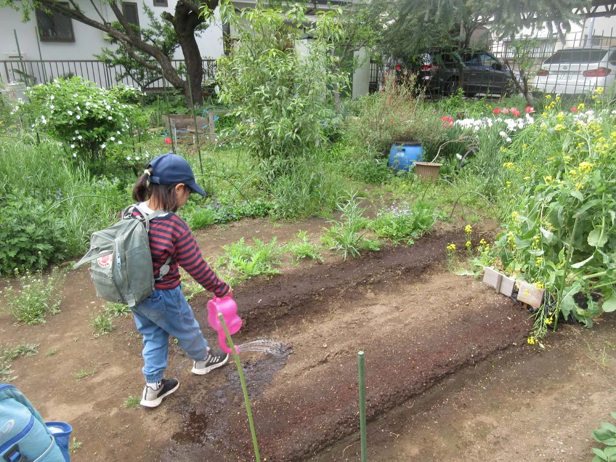 朝の日課は野菜にみずやり