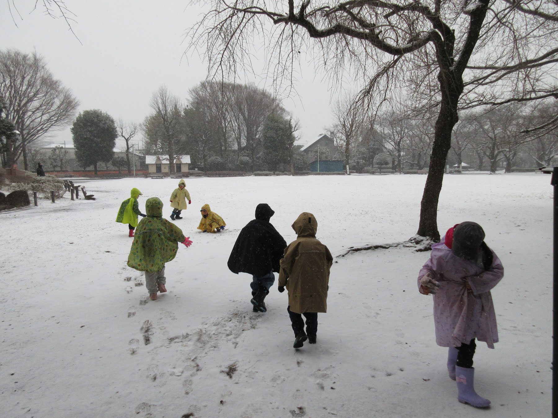 雪の日でも出かけます