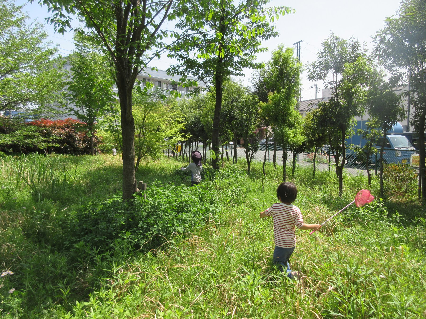 編みをもって虫を追いかける