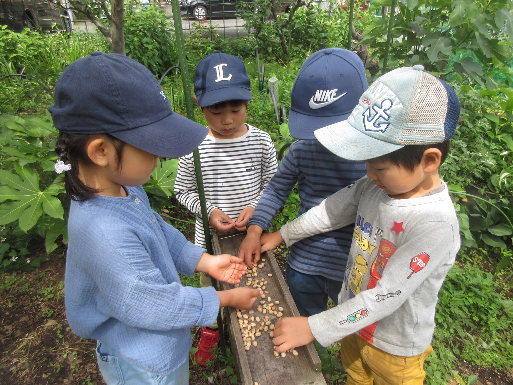 園に遊びに来る野鳥のご飯を用意する